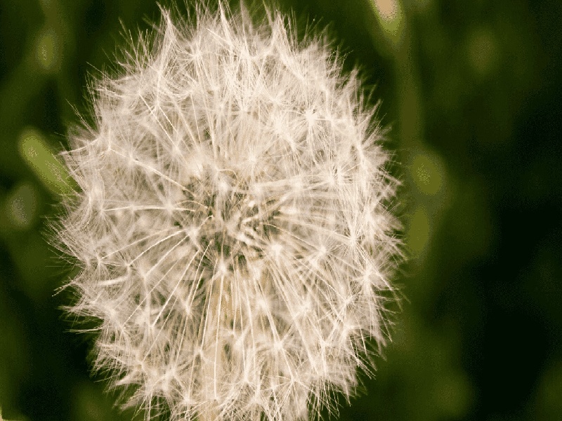 广州治排卵障碍费用（宝岛 试管婴儿）